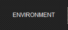 ENVIRONMENT